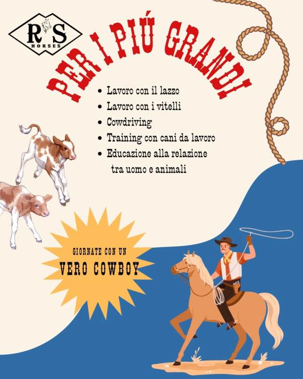cavallo-centri-estivi-vicenza